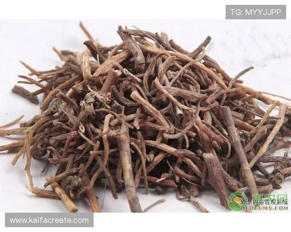 最新版本凯发旗舰厅客户端下载安装流程全攻略及常见问题解决方案